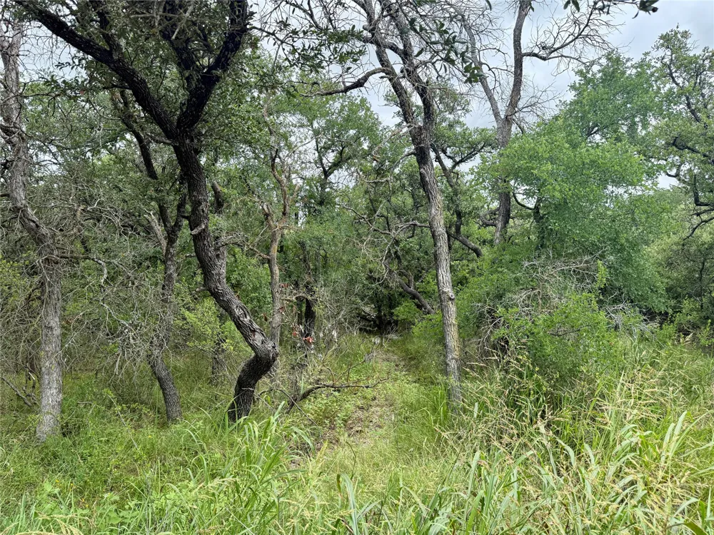 Hillcrest Drive Brownwood, TX 76801