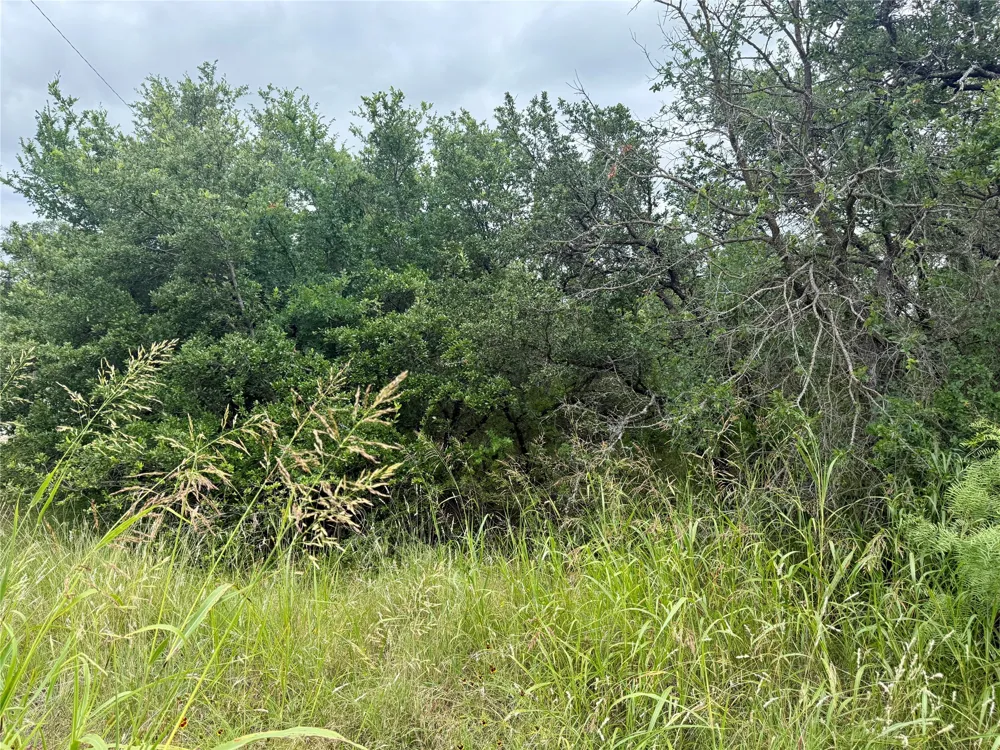 Hillcrest Drive Brownwood, TX 76801