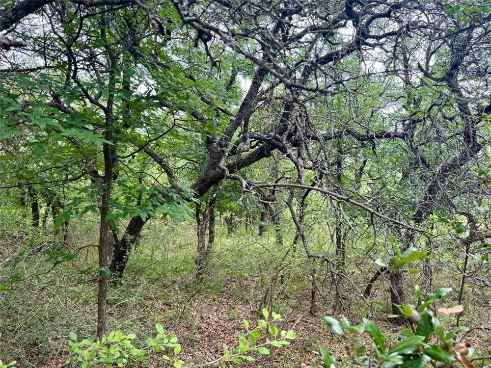 Hillcrest Drive Brownwood, TX 76801