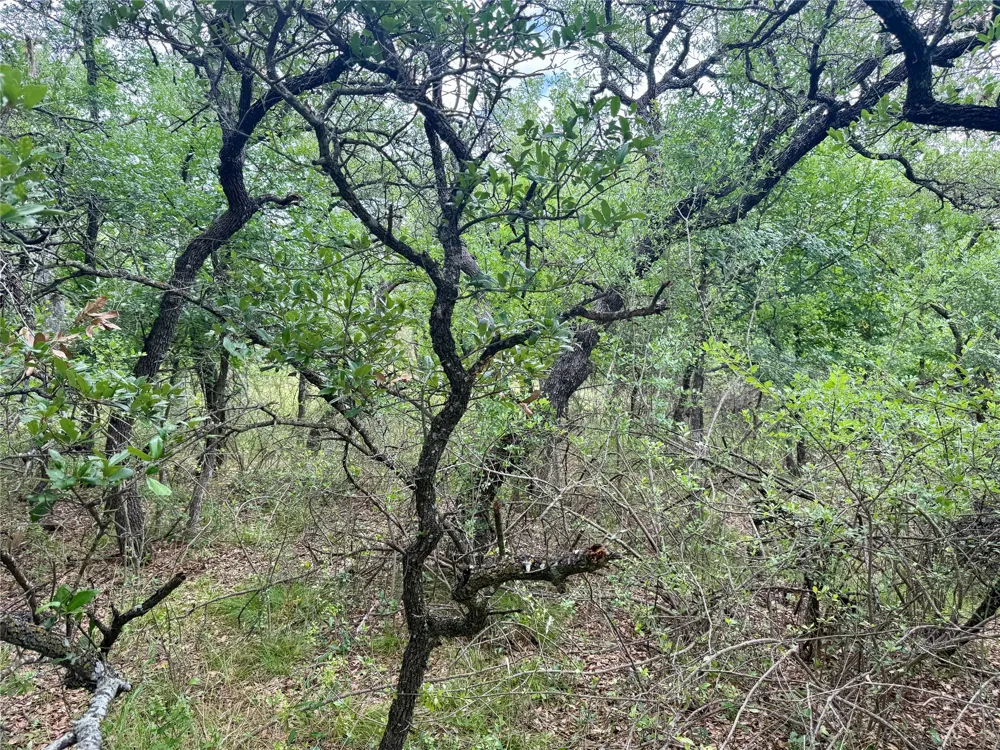 Hillcrest Drive Brownwood, TX 76801
