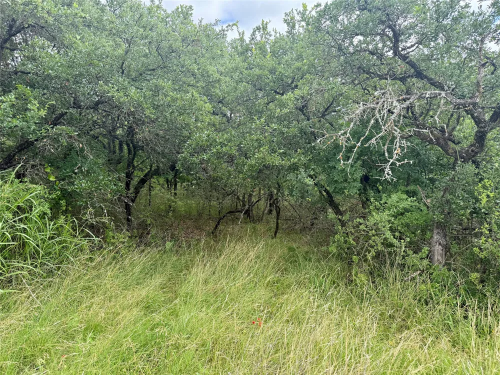 Hillcrest Drive Brownwood, TX 76801