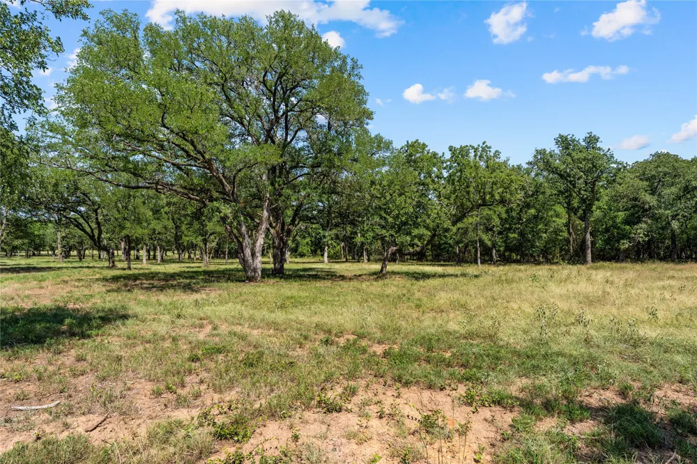 Lakewood Drive Whitney, TX 76692