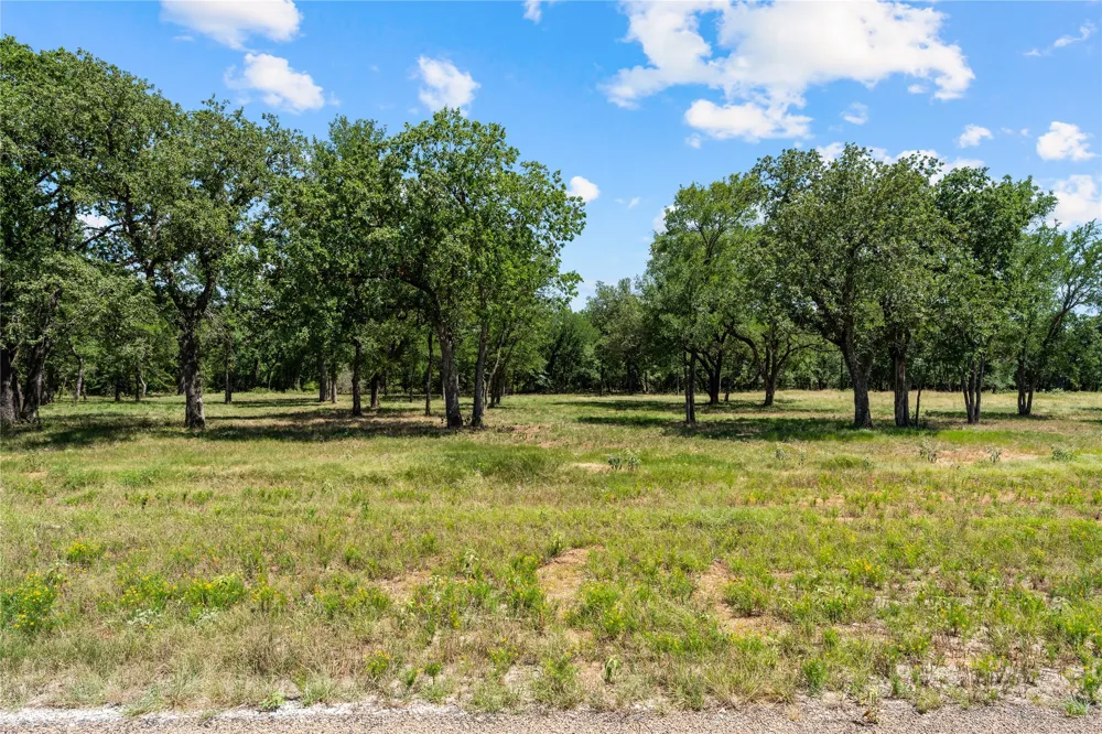 Lakewood Drive Whitney, TX 76692