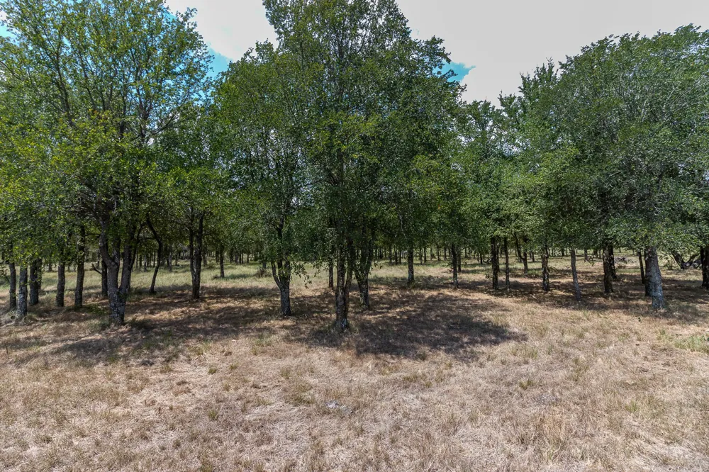 Co Rd 4076 Scurry, TX 75158