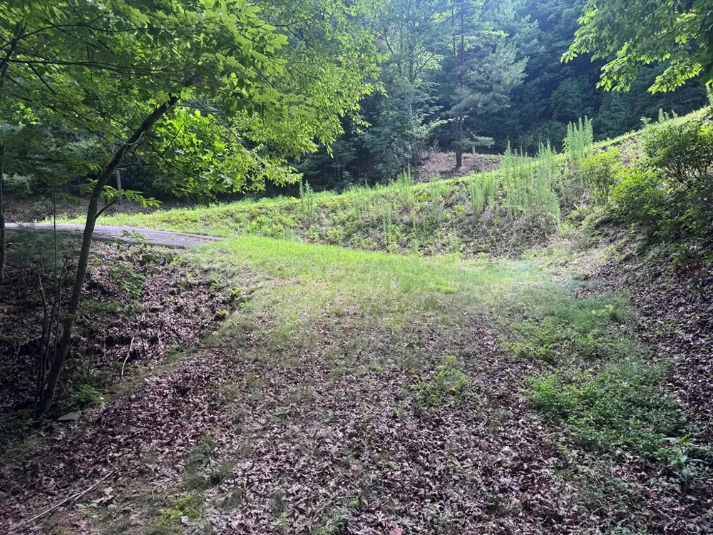 39 Fiddlers Way Brasstown, NC 28904
