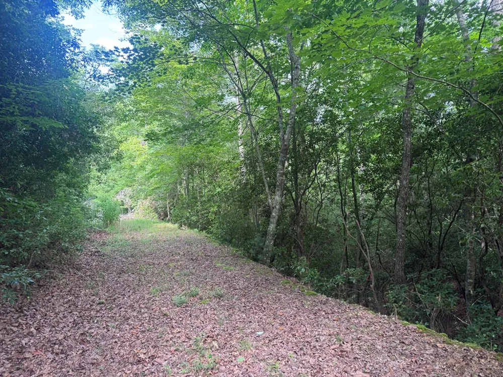 39 Fiddlers Way Brasstown, NC 28904