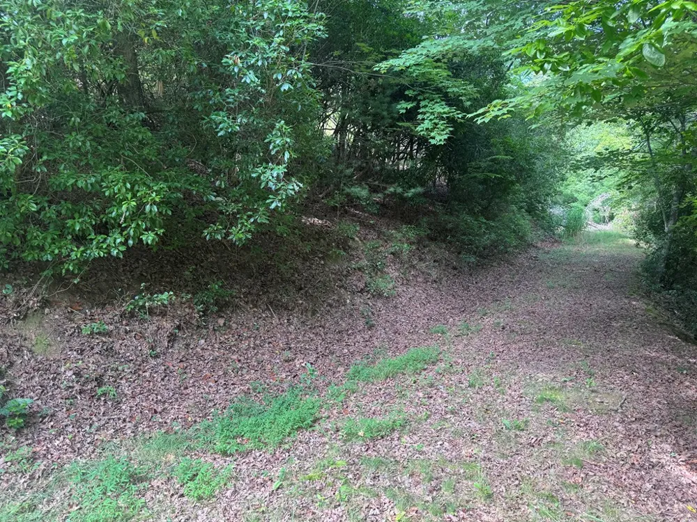 39 Fiddlers Way Brasstown, NC 28904