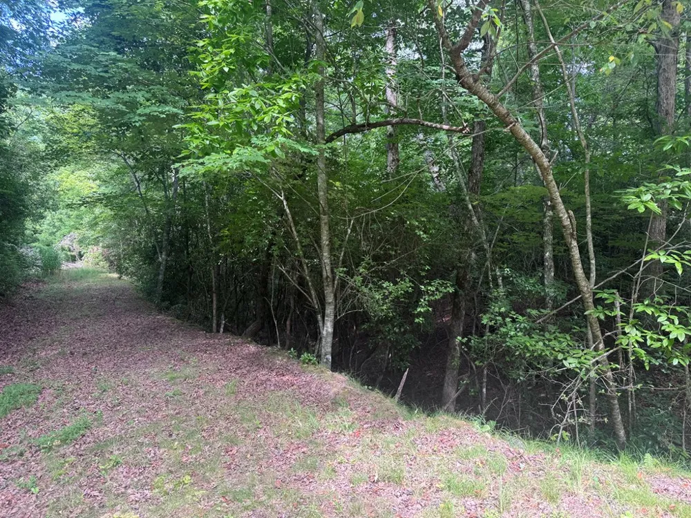 39 Fiddlers Way Brasstown, NC 28904