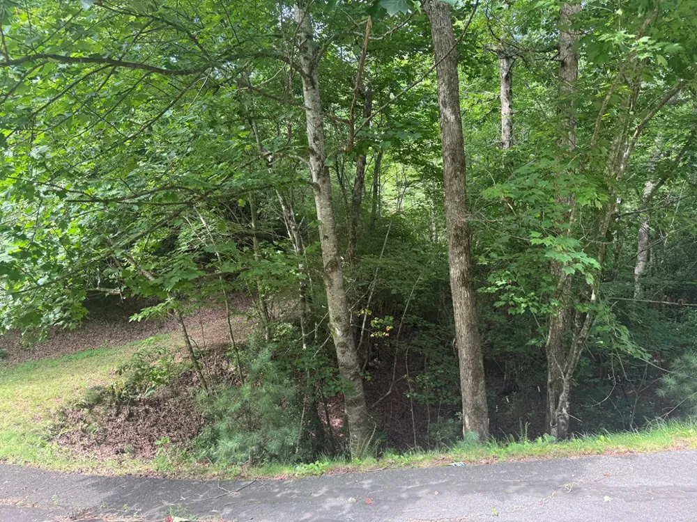 39 Fiddlers Way Brasstown, NC 28904