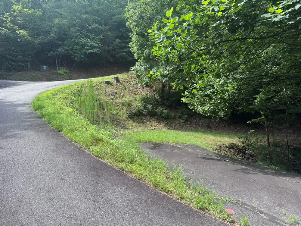 39 Fiddlers Way Brasstown, NC 28904