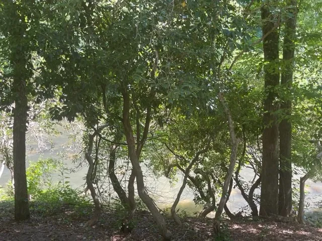 637 Riverside Drive East Ellijay, GA 30536