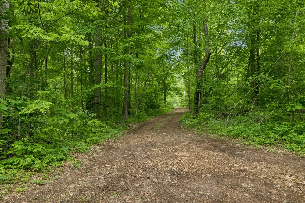 0 Wilderness Lane Lafayette, TN 37083