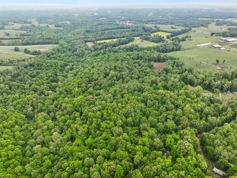 0 Wilderness Lane Lafayette, TN 37083