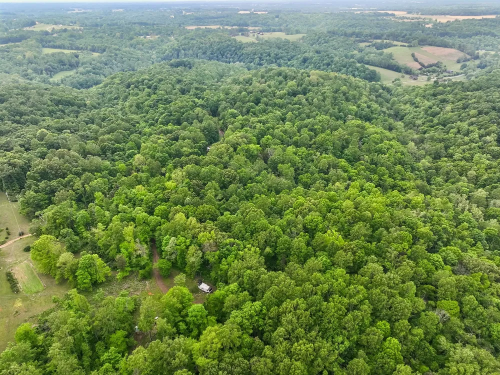 0 Wilderness Lane Lafayette, TN 37083