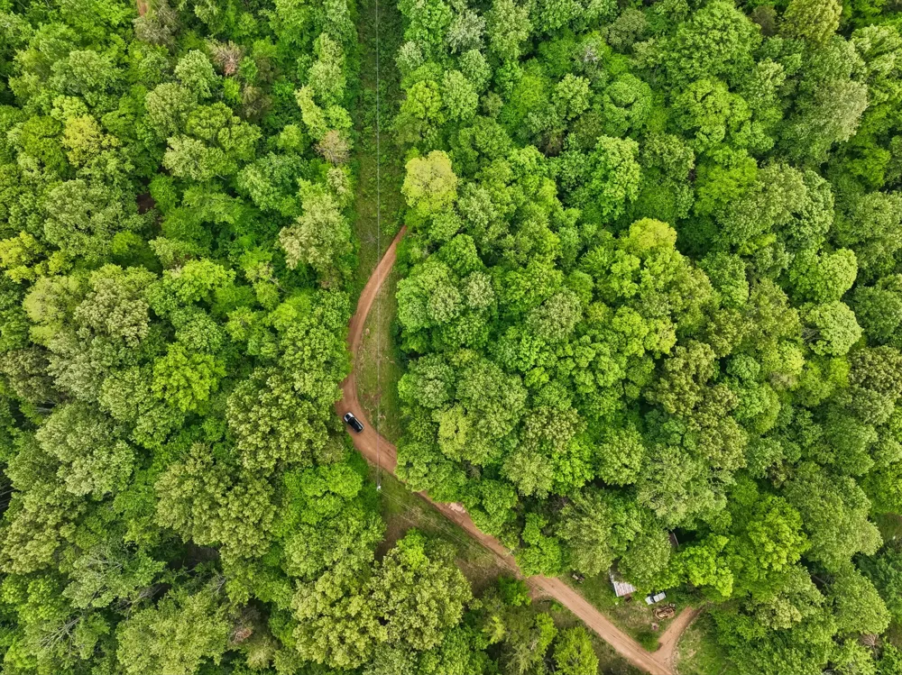 0 Wilderness Lane Lafayette, TN 37083
