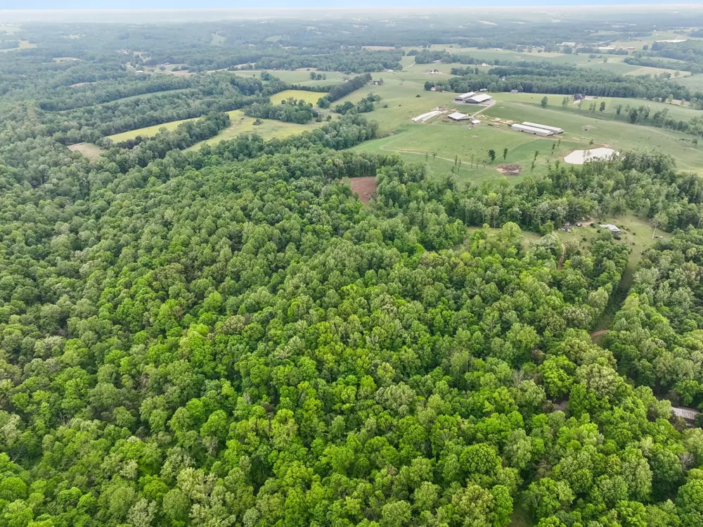 0 Wilderness Lane Lafayette, TN 37083