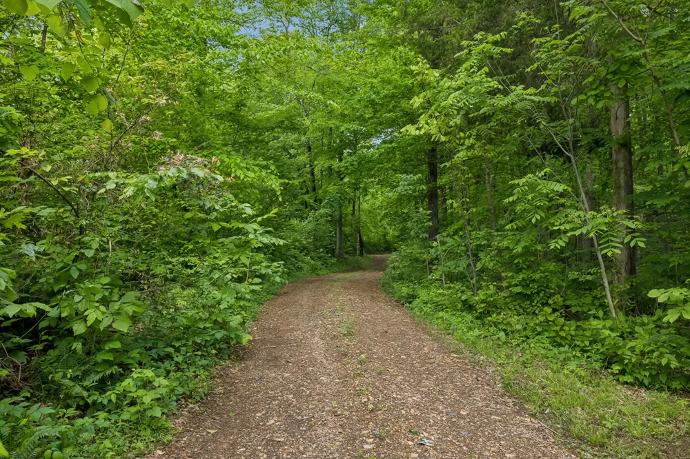 0 Wilderness Lane Lafayette, TN 37083