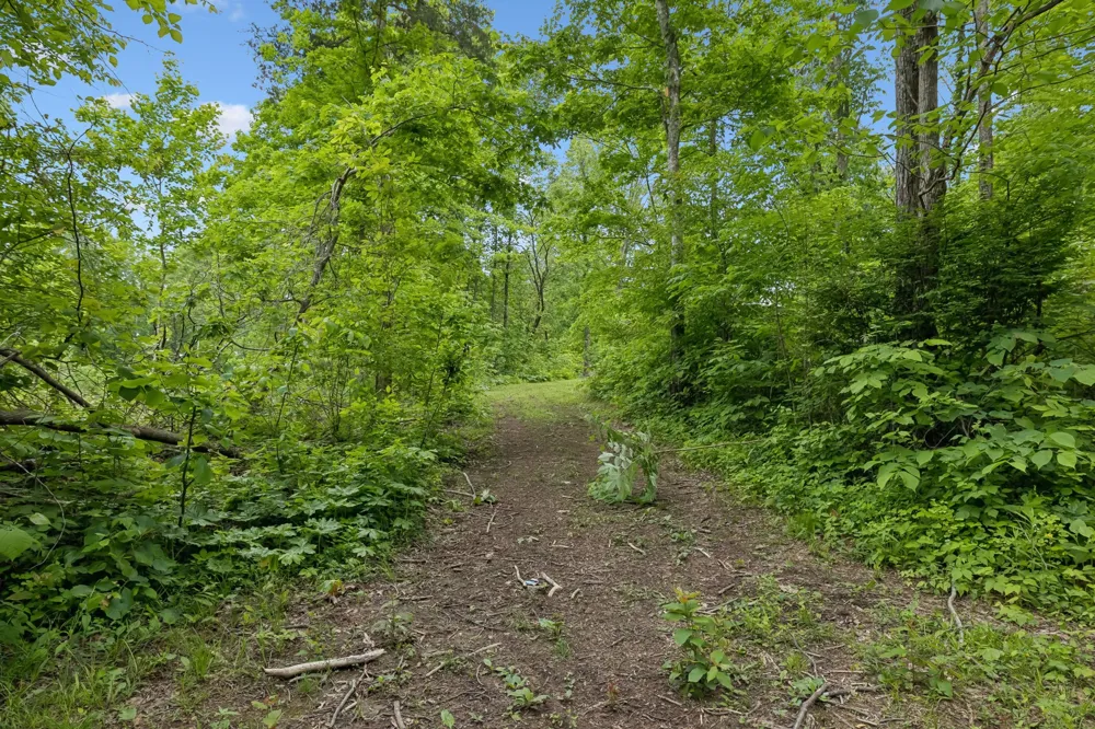 0 Wilderness Lane Lafayette, TN 37083