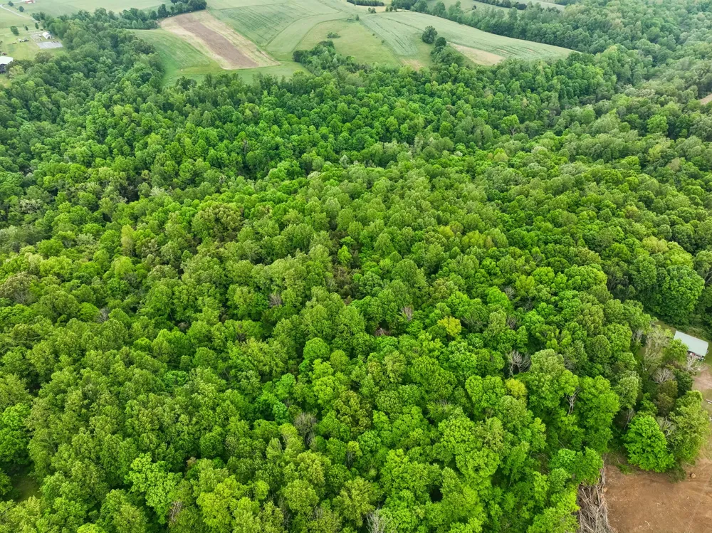 0 Wilderness Lane Lafayette, TN 37083