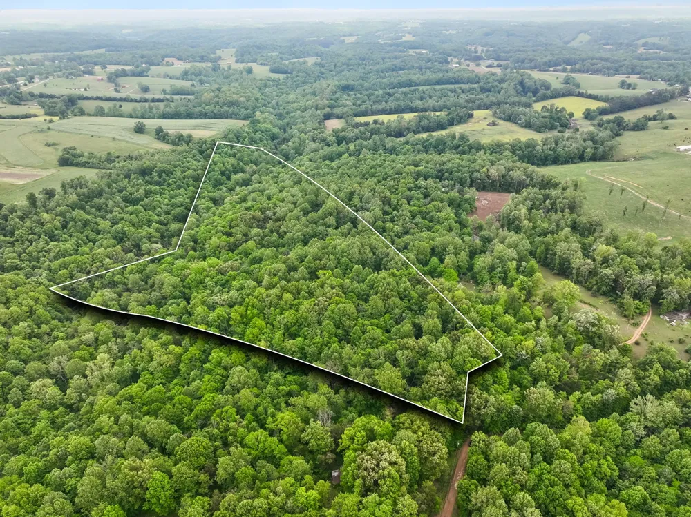 0 Wilderness Lane Lafayette, TN 37083