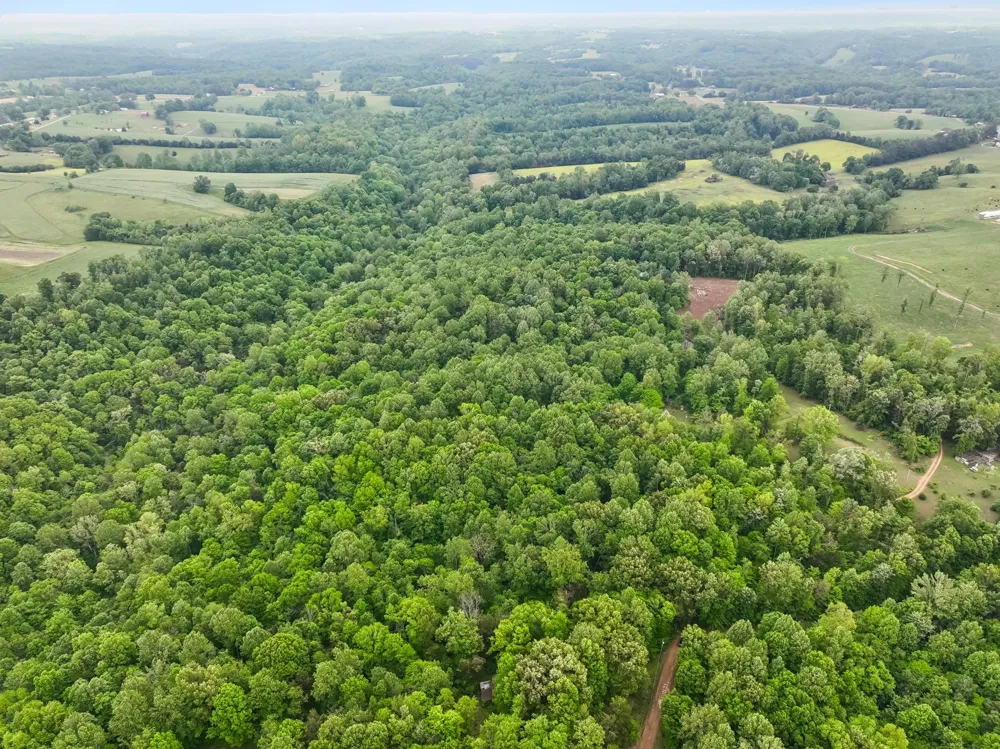 0 Wilderness Lane Lafayette, TN 37083