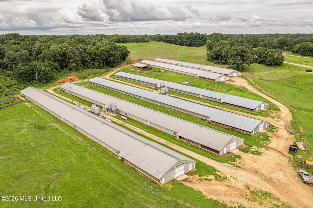 112 Old Hwy 13 Lena, MS 39094
