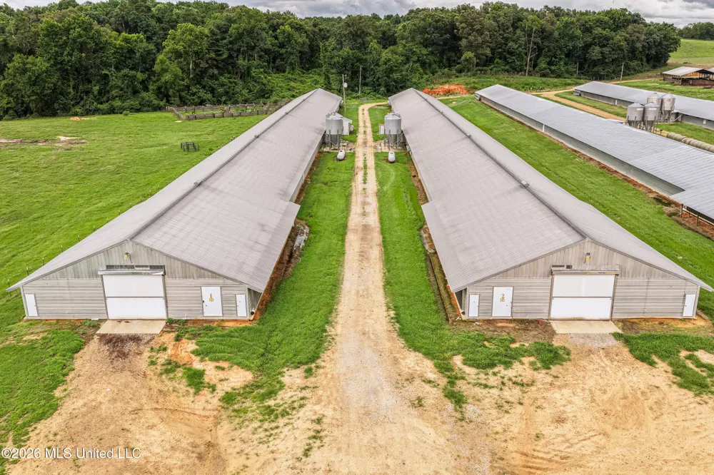 112 Old Hwy 13 Lena, MS 39094