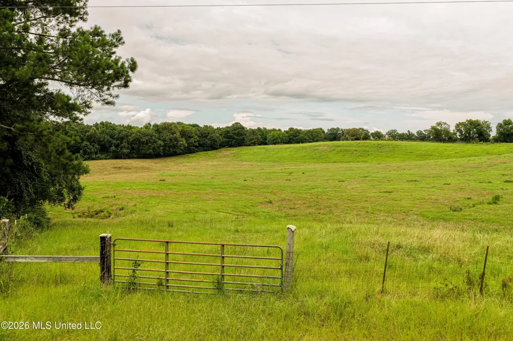 112 Old Hwy 13 Lena, MS 39094