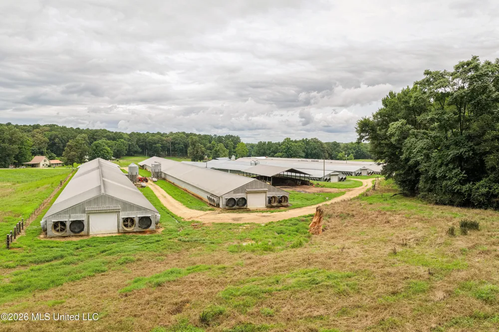 112 Old Hwy 13 Lena, MS 39094