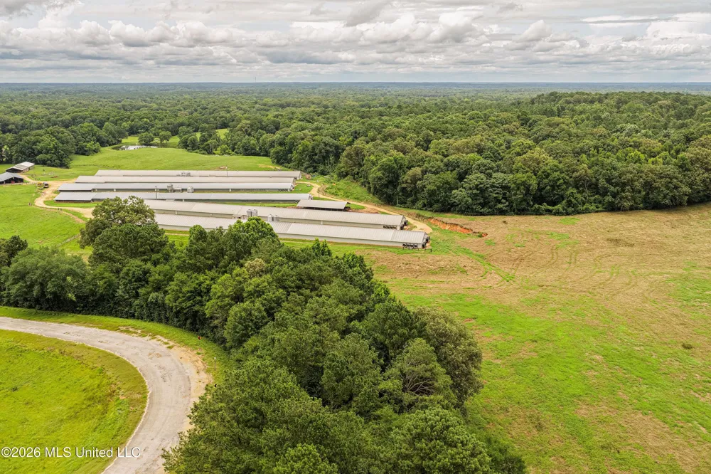 112 Old Hwy 13 Lena, MS 39094