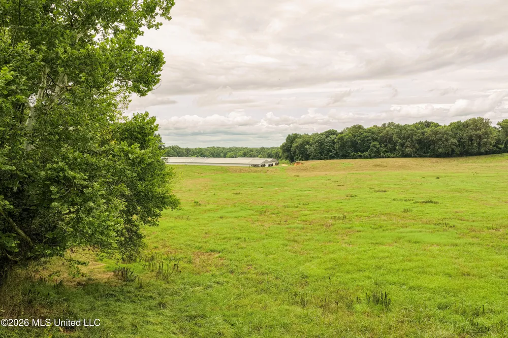 112 Old Hwy 13 Lena, MS 39094