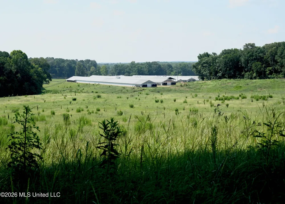 112 Old Hwy 13 Lena, MS 39094