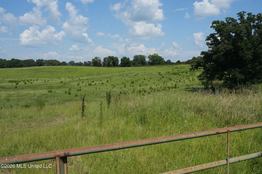 112 Old Hwy 13 Lena, MS 39094