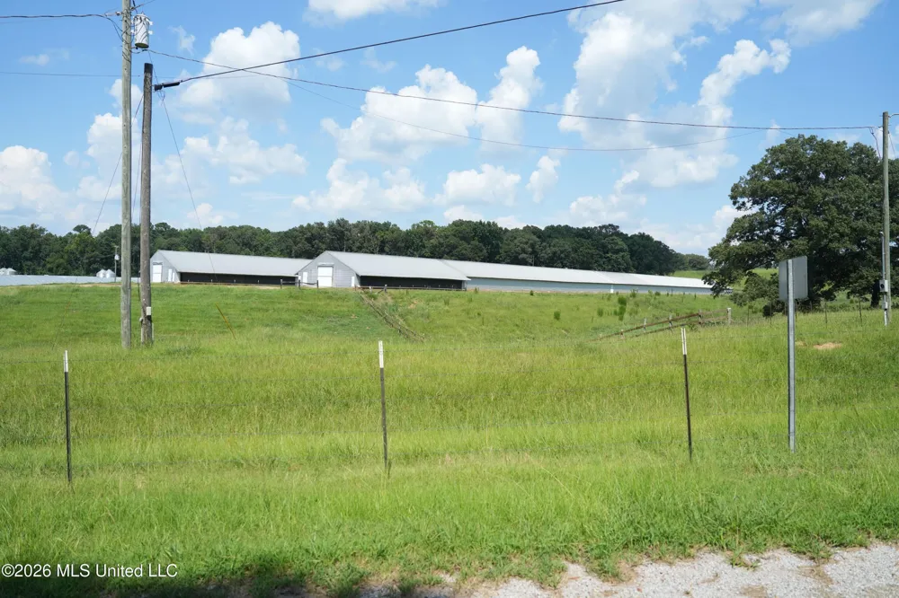 112 Old Hwy 13 Lena, MS 39094