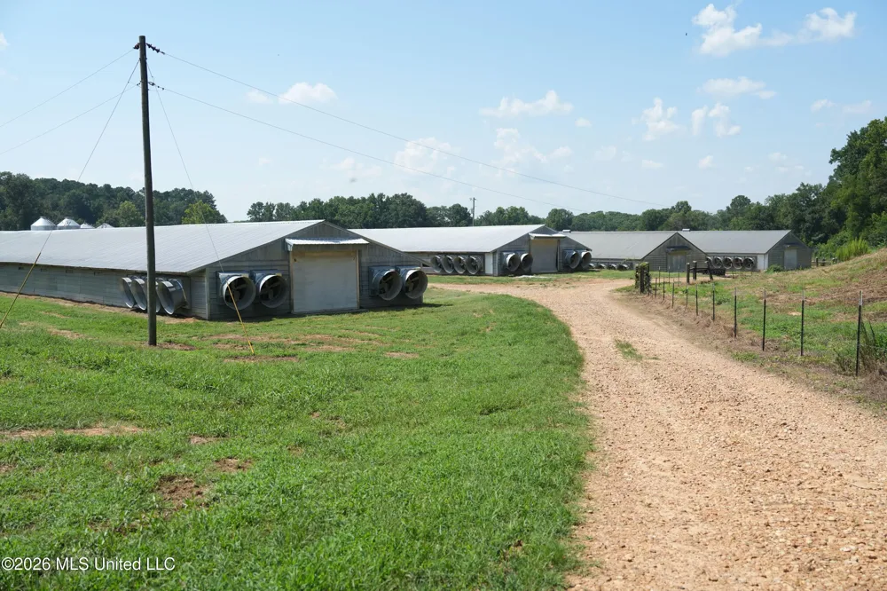 112 Old Hwy 13 Lena, MS 39094