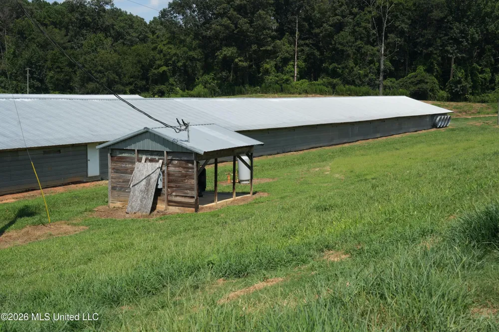 112 Old Hwy 13 Lena, MS 39094