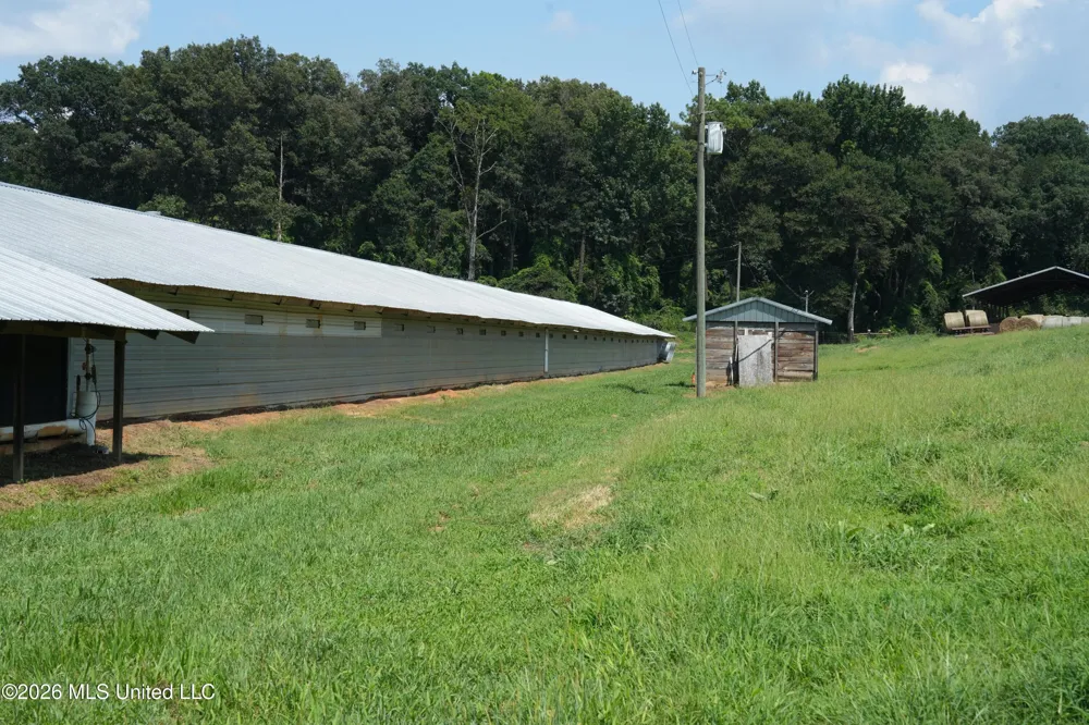 112 Old Hwy 13 Lena, MS 39094