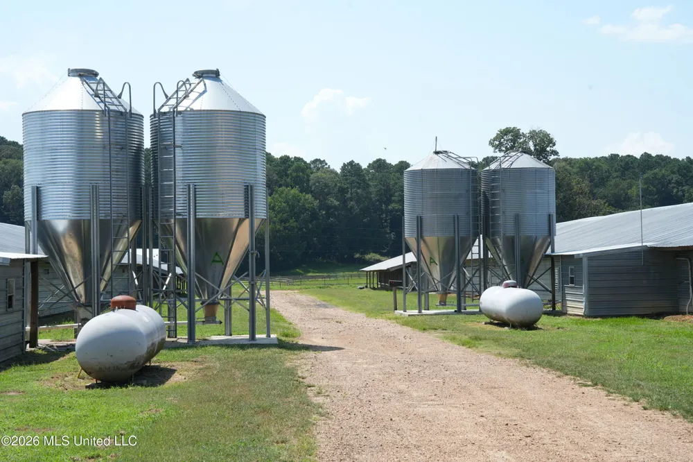 112 Old Hwy 13 Lena, MS 39094
