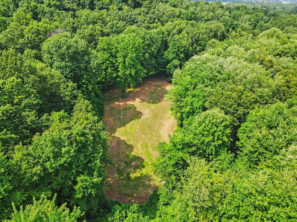 15068 Millard Road Three Rivers, MI 49093