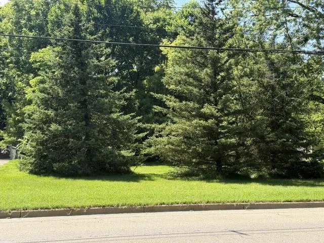 413 Brewer Street Marshall, MI 49068