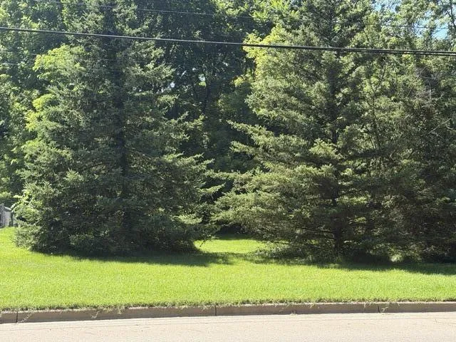 413 Brewer Street Marshall, MI 49068