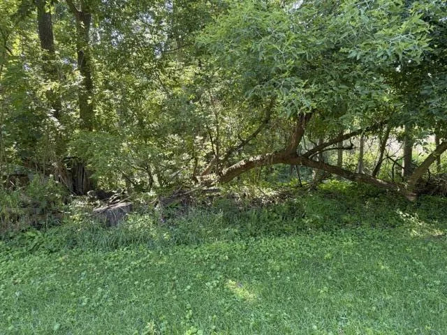 413 Brewer Street Marshall, MI 49068
