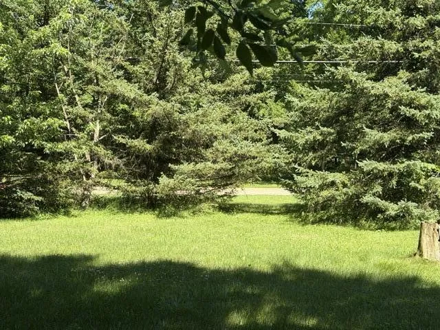 413 Brewer Street Marshall, MI 49068