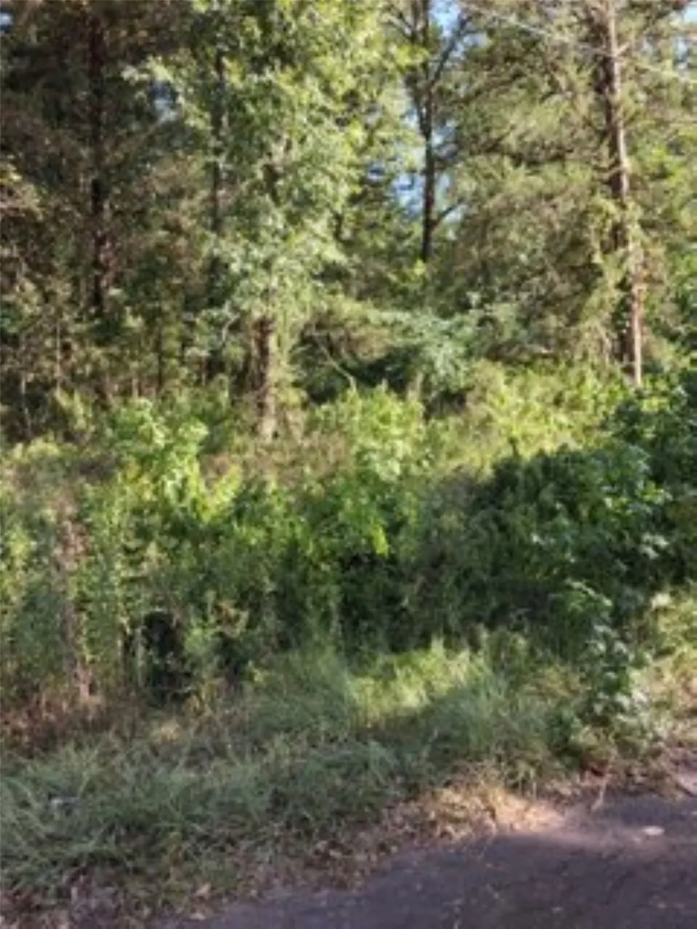 Dogwood Drive Murchison, TX 75778
