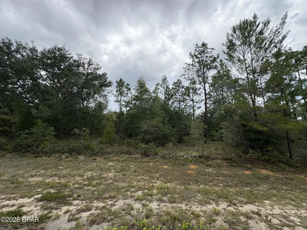 12 Yorkshire Drive Chipley, FL 32428