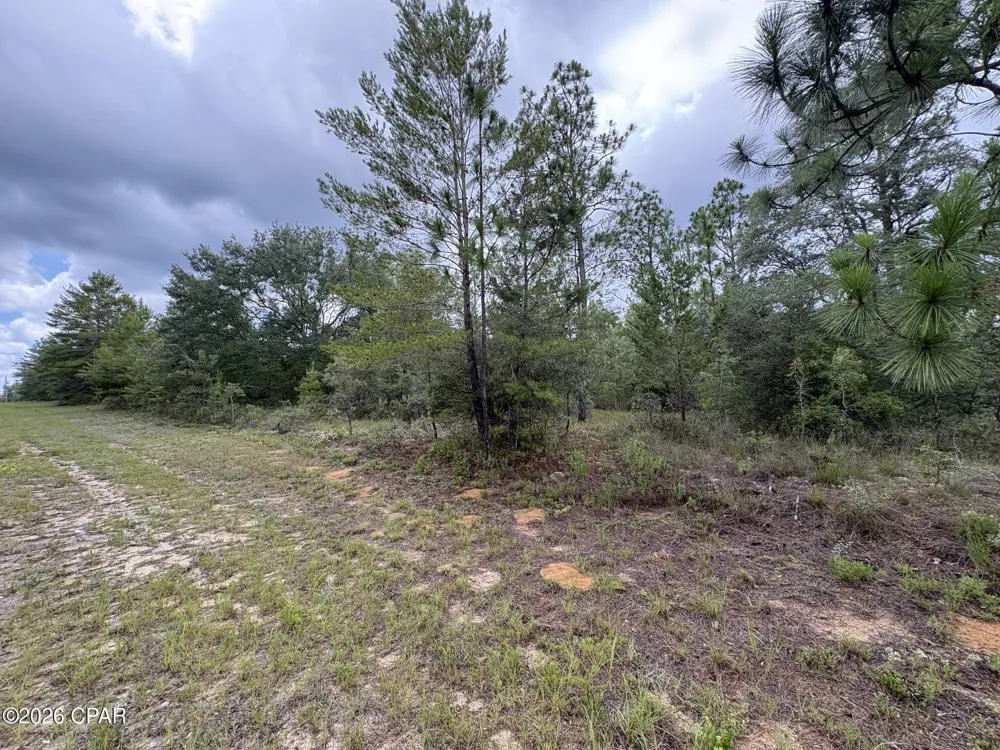 12 Yorkshire Drive Chipley, FL 32428