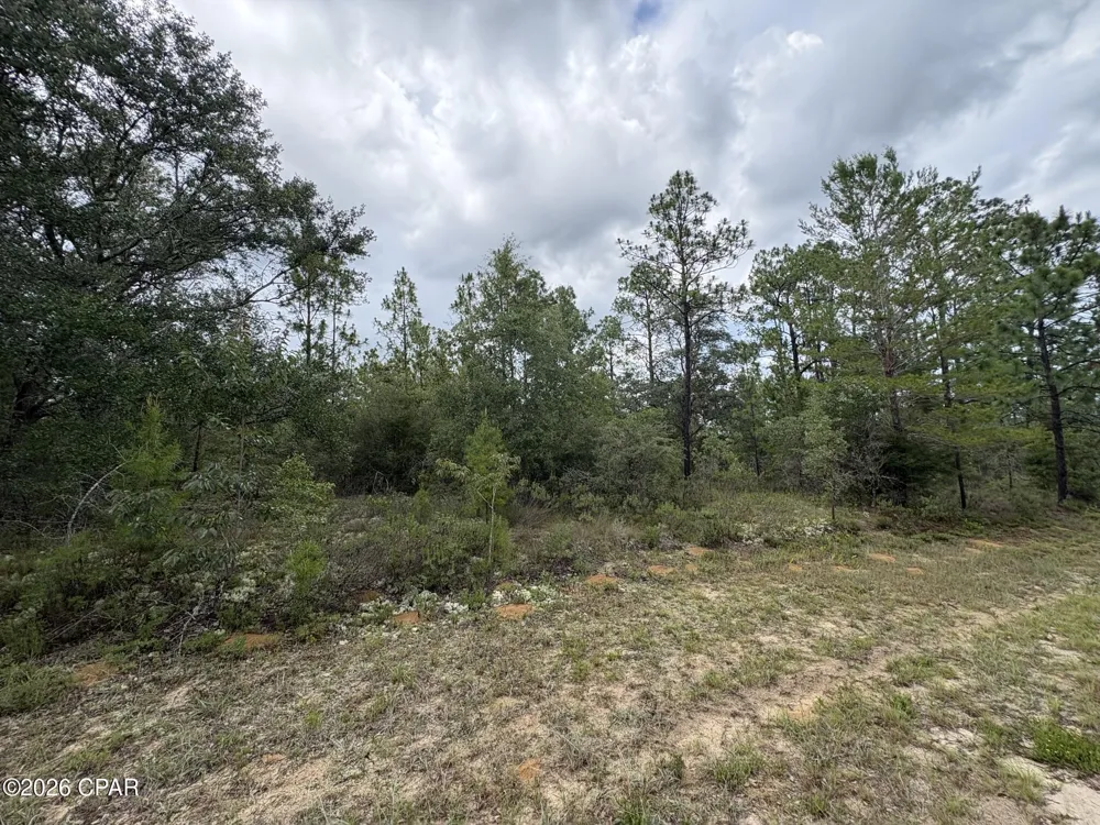 12 Yorkshire Drive Chipley, FL 32428