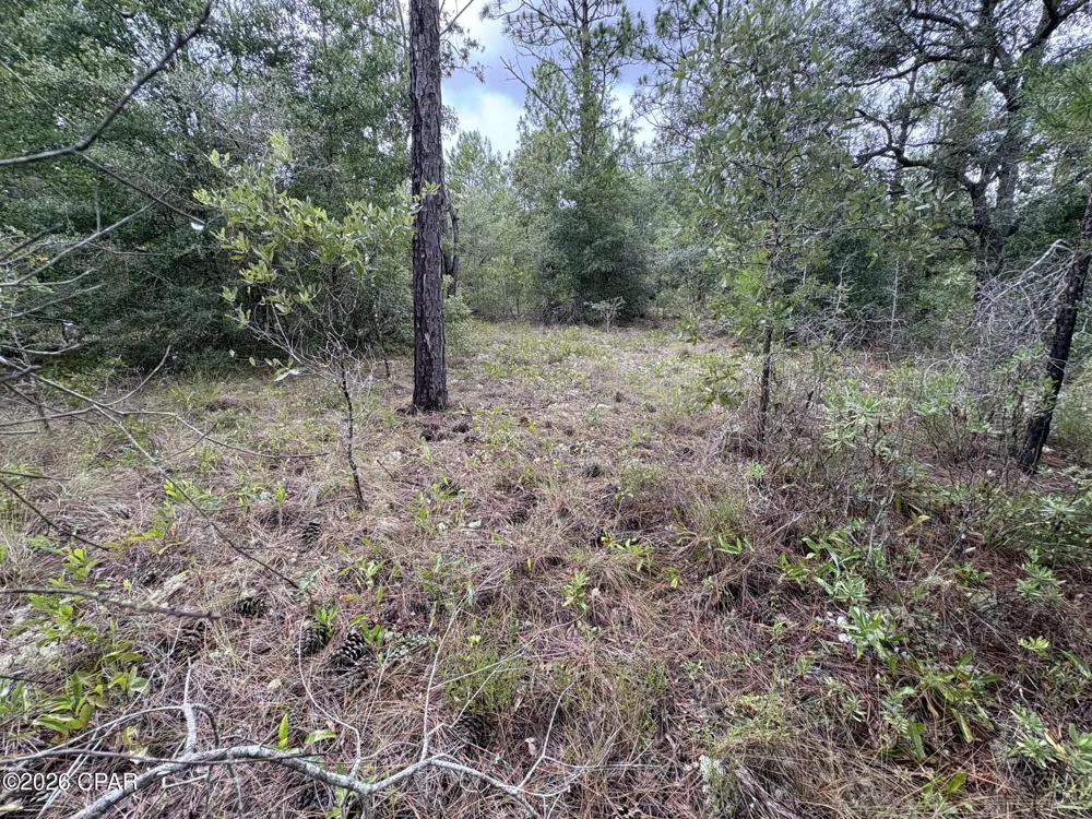 12 Yorkshire Drive Chipley, FL 32428