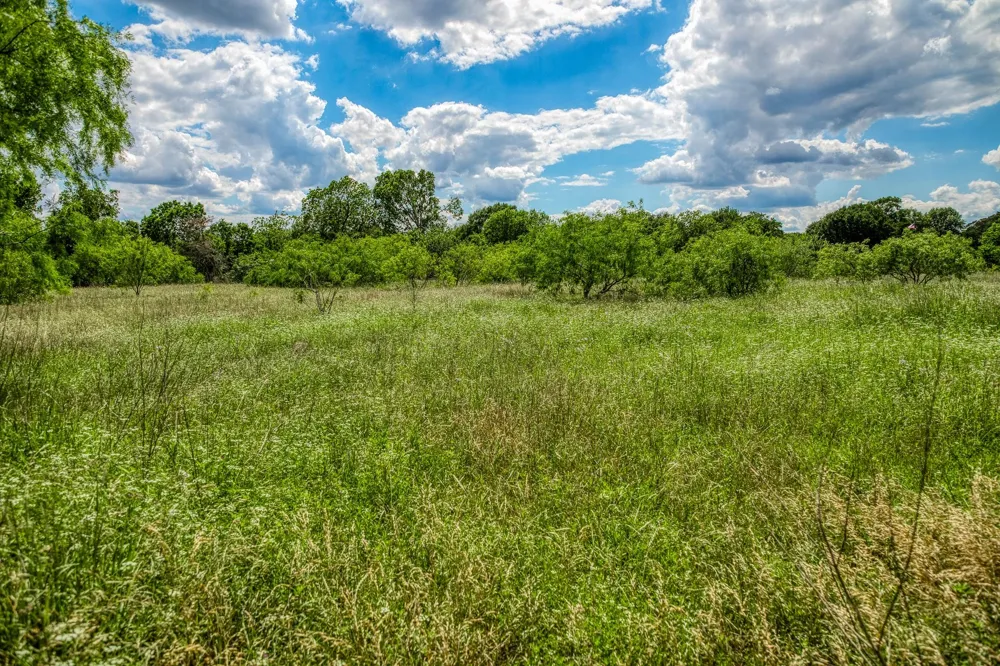 O'neal Street Caldwell, TX 77836