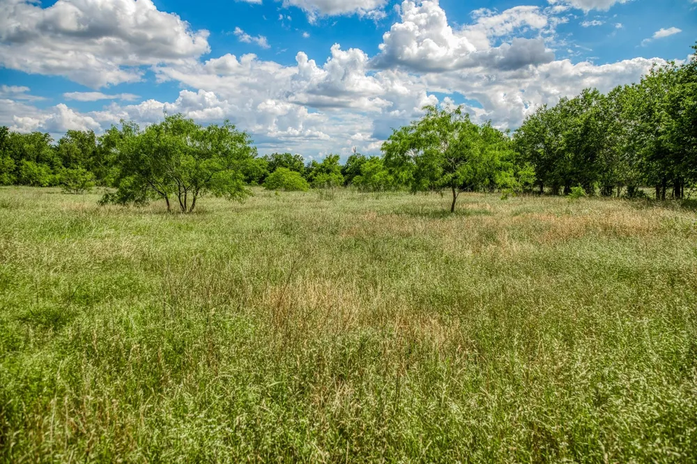 O'neal Street Caldwell, TX 77836